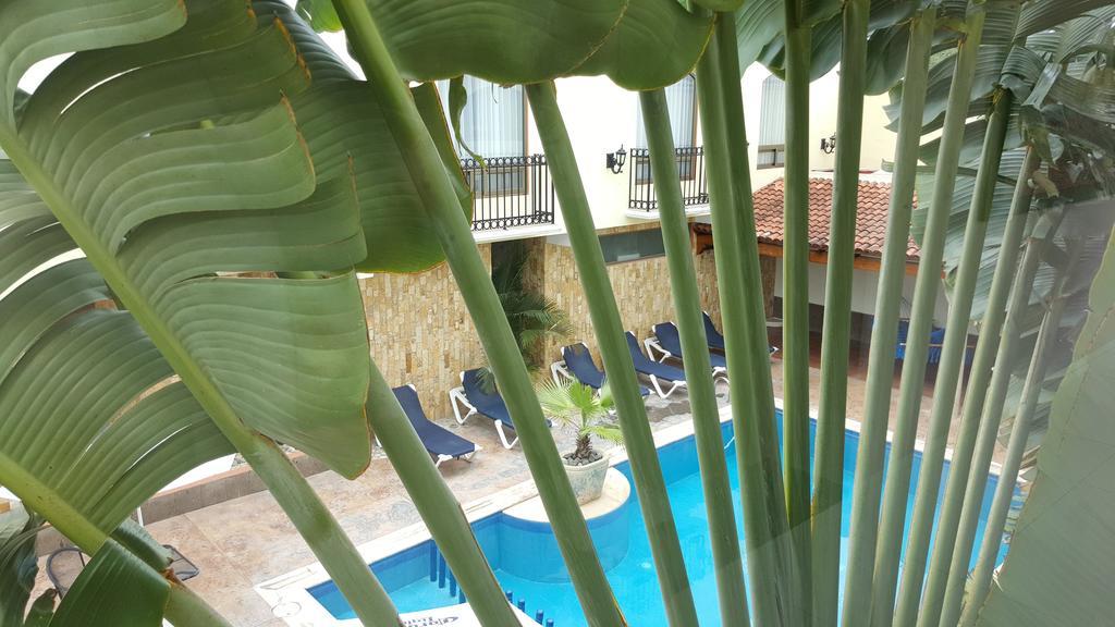 Hotel Dubrovnik Mérida Δωμάτιο φωτογραφία